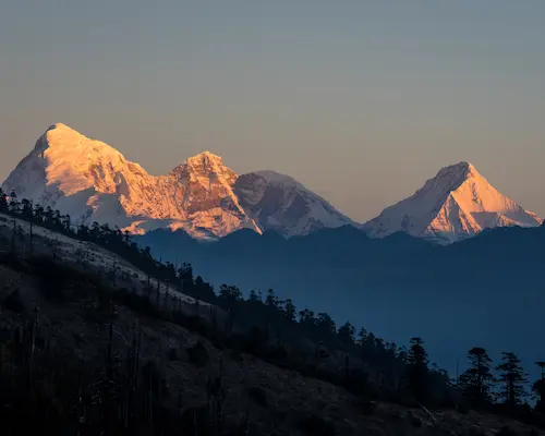 Singalila Trek